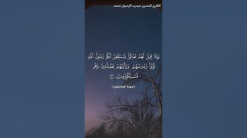 سورة المنافقون بصوت القارئ الحسين عبدرب الرسول محمد #القرآن_الكريم #اكسبلور#المصحف