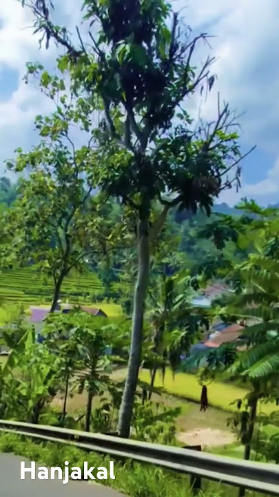 Hanjakal - Doel sumbang #suasanayangindah #naturephotography #lagusunda
