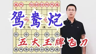 鸳鸯炮五大套路，你的慧眼能识破几个？一起探索象棋深层次的奥妙