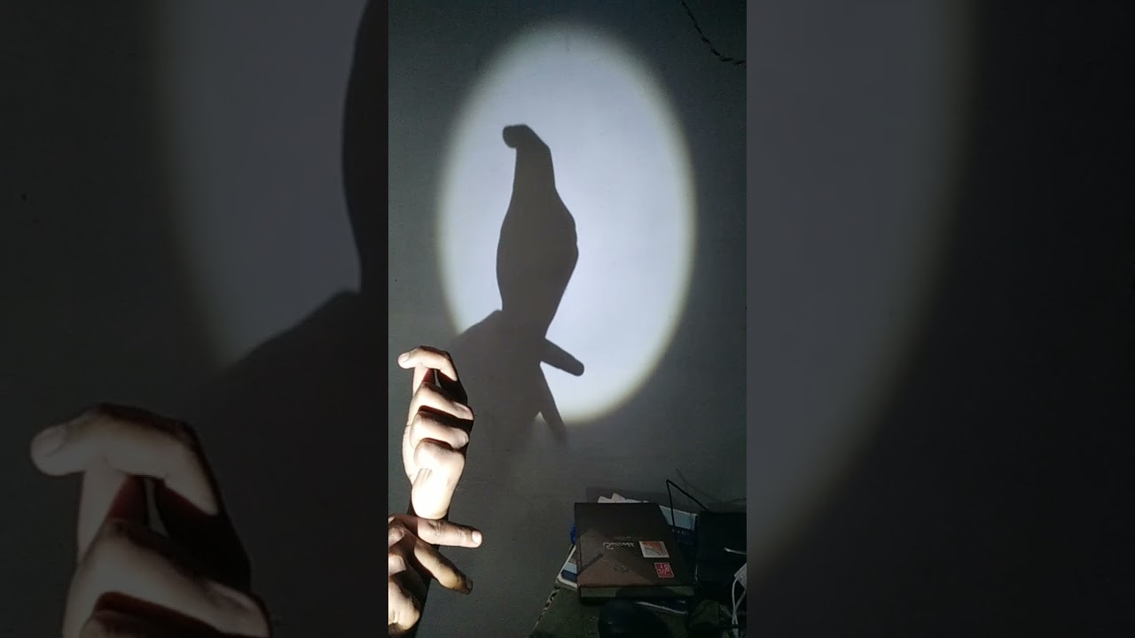 bird 🐦 sound hand shadow puppet show