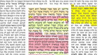 מסכת נידה דף נח Daf yomi Niddah daf 58 שמואל נבון