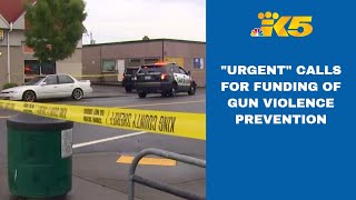 After a deadly weekend, King County proposes 'urgent' funding for gun violence prevention