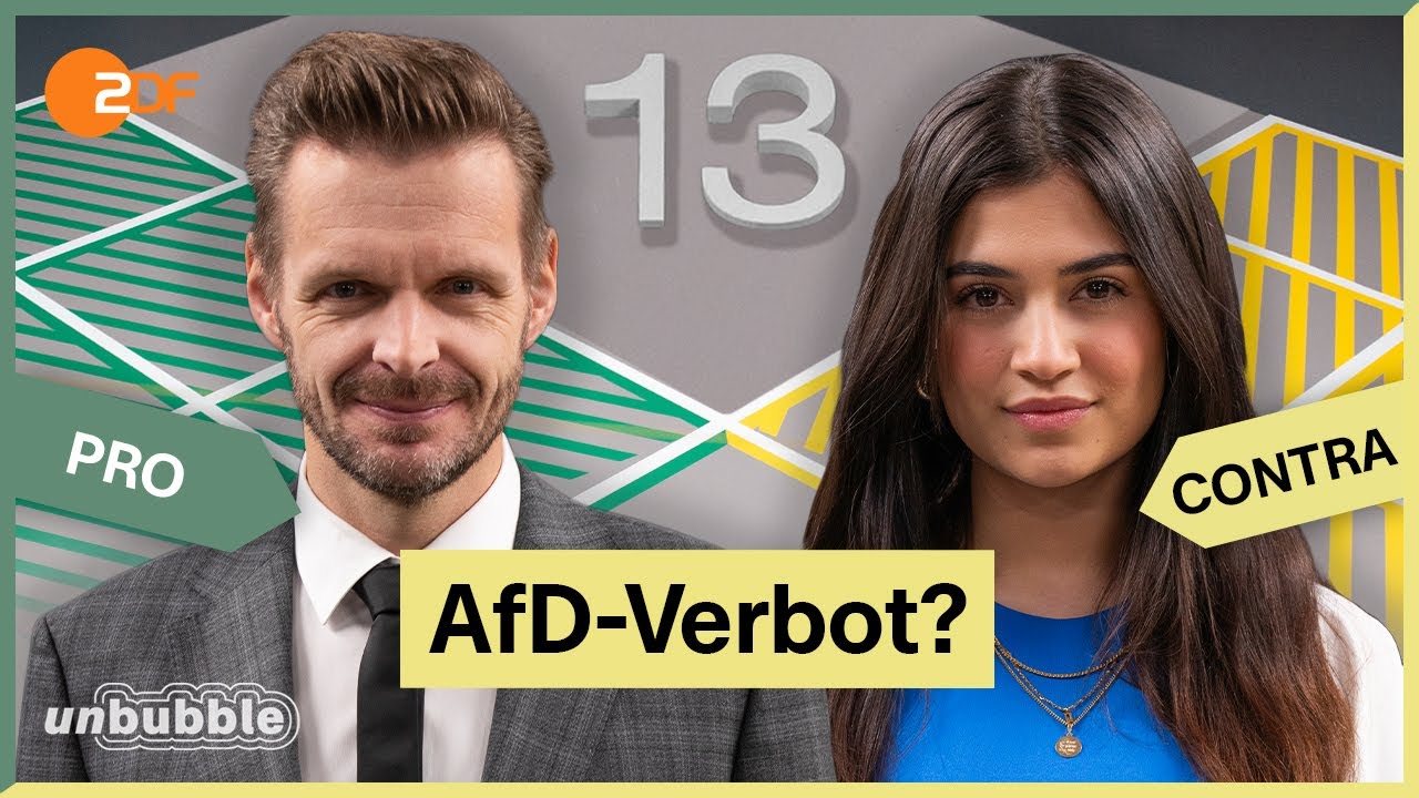 AfD Verbot, Bürgerrechte entziehen, politische Gegner zerstören! Hans Georg Maaßen im Interview
