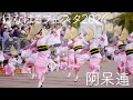 【阿波踊り2024】はなはるフェスタに阿呆連登場！あっという間の10分間×3！ Awaodori in Tokushima Japan 4K HDR