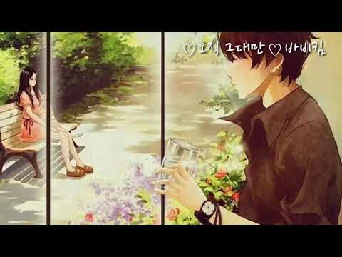 바비킴 오직 그대만