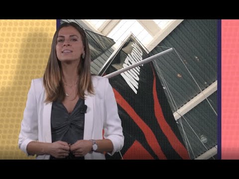 ⁣REPORTAJE: MOTHQUITO EN 