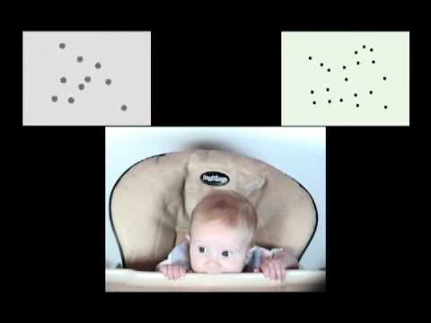 Change Detection.wmv - YouTube