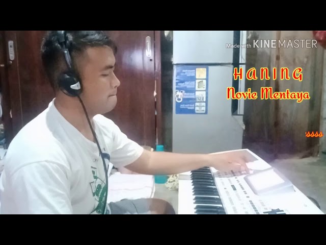 HANING Novie Mentaya, cover KORG Pa500 remix pantura class=