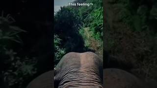 #ksrtc #youtubeshorts #shorts #ytshorts #youtube #viralvideo