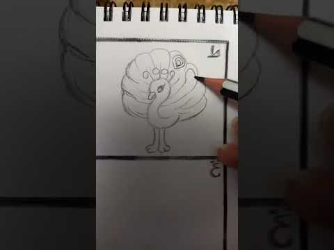 كيف ارسم طاووس Peacock خطوه بخطوه حرف ط 2022 