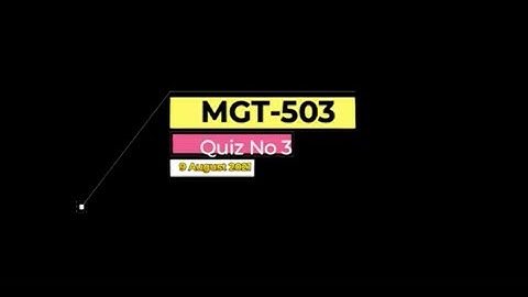 MGT503 Principles of Management Quiz No 3 Solution