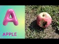 ABC Phonics Song | Alphabet letter sounds | ABC learning for toddlers | Education ABC Nursery Rhymes