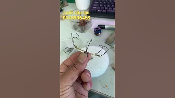 Lưỡi câu lục ( lục 10 chuyên chép trôi củ  giá 60k 1c ship từ 5c )