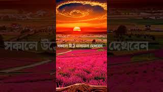 Peaceful Muslim greetings | Madinabd islamic islamicvideo shorts short videoshort মদিনাটয়