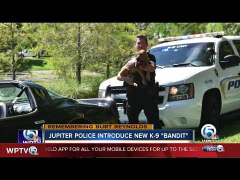 Jupiter Police Names New K 9 Bandit After Burt Reynolds - 
