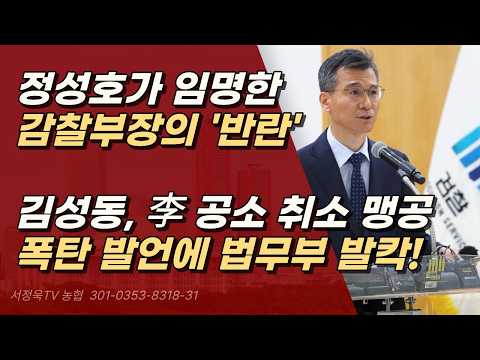 "법무부 장관이 직권남용!" 대검 감찰부장 김성동, 검찰 미래위 직격 폭로ㅣ서정욱TV