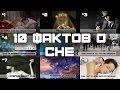 10 ФАКТОВ О СНАХ (выпуск #8)