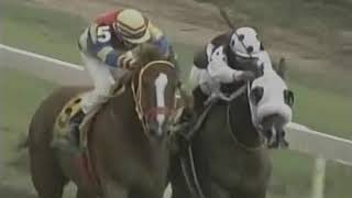 MIRACLE MAN STORY  CHAMPION RACEHORSE