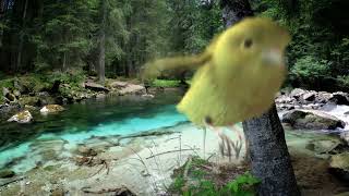 Element 3D Bird Flight Test 01