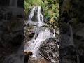 the most visited national park #tennessee #nps #nationalparks #travel #tntravel #hikes #outdoors