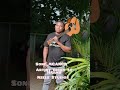 Artist Ricky Melodies Ft Harm Munga Song MGANGA Official Audio 