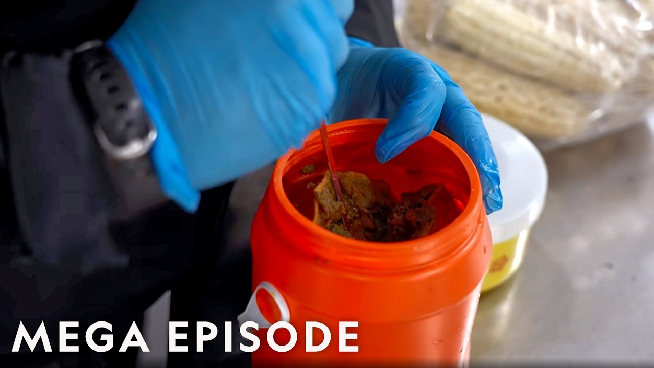 Border Patrol’s Most Notable Smuggling Busts | To Catch a Smuggler MEGA Episode – Video