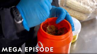 Border Patrol's Biggest Smuggling Busts | To Catch a Smuggler MEGA Episode