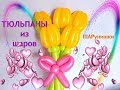 Тюльпаны из шаров/Tulips from balls