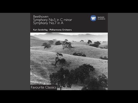 Symphony No. 5 in C Minor, Op. 67: I. Allegro con brio