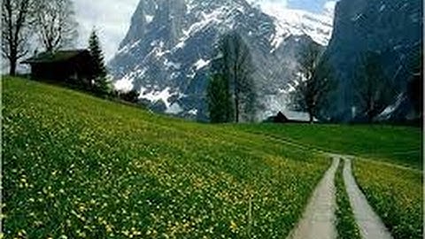 القرآن الكريم تلاوة مؤثرة خاشعة مبكية روعة Quran