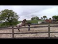 Aggressive Horse  behavior, horses that rear, strike, and kick with Mike Hughes, Auburn California