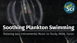 Soothing Plankton Swimming | Relaxing Jazz Instrumental Music to Study, Work, Focus | Lofi Sci