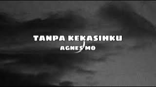 Tanpa Kekasihku - Agnes Mo - Tami Aulia Cover (Slowed   Reverb)