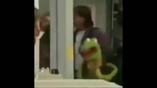 Kermit the frog monkey then making broken monkey noises