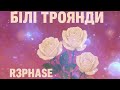 R3phase Білі Троянди Зимовий хіт 2025