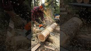 Outdoor logging life adventure 🏞️💪