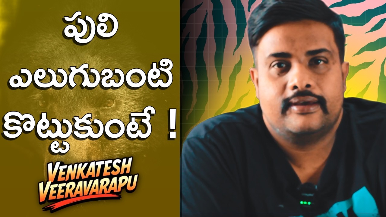 TELUGU FACTS | TIGER VS BEAR | EXPLAINER | పులి ఎలుగుబంటి పోరాటం 
