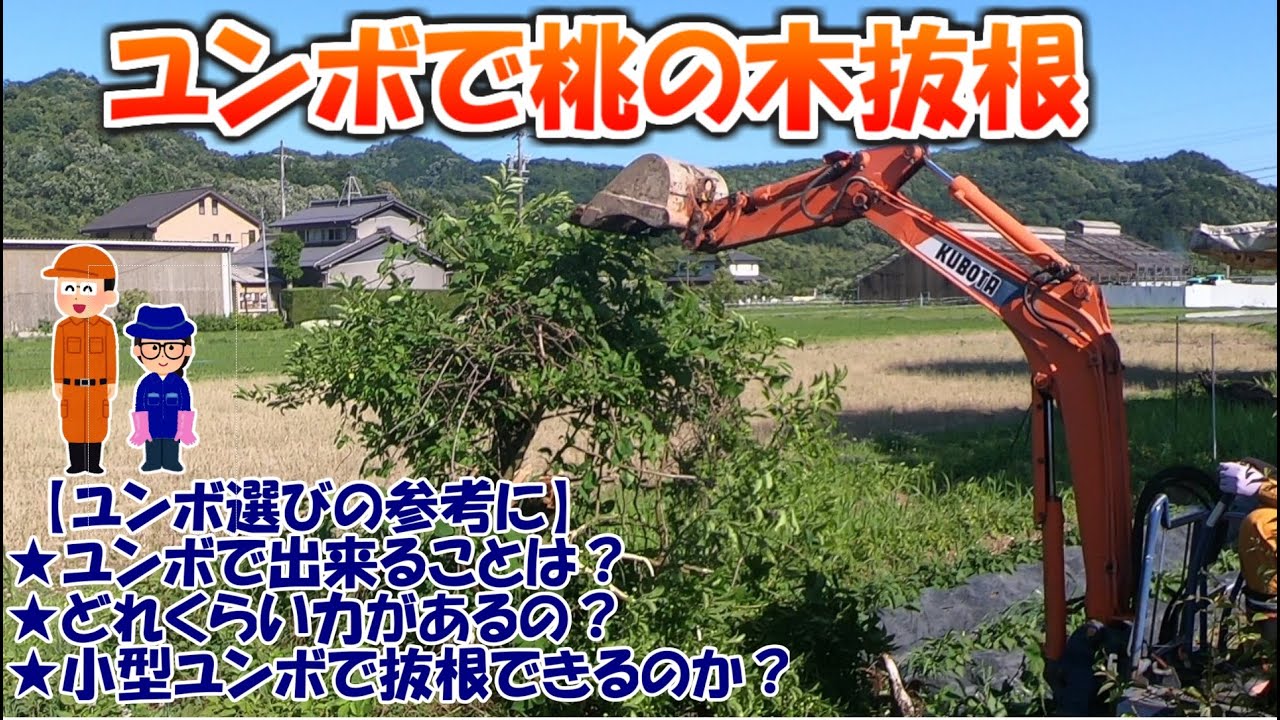【ユンボで抜根】クボタ　KH-014で桃の木の抜根にチャレンジ