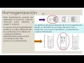 Tecnología Leche operaciones