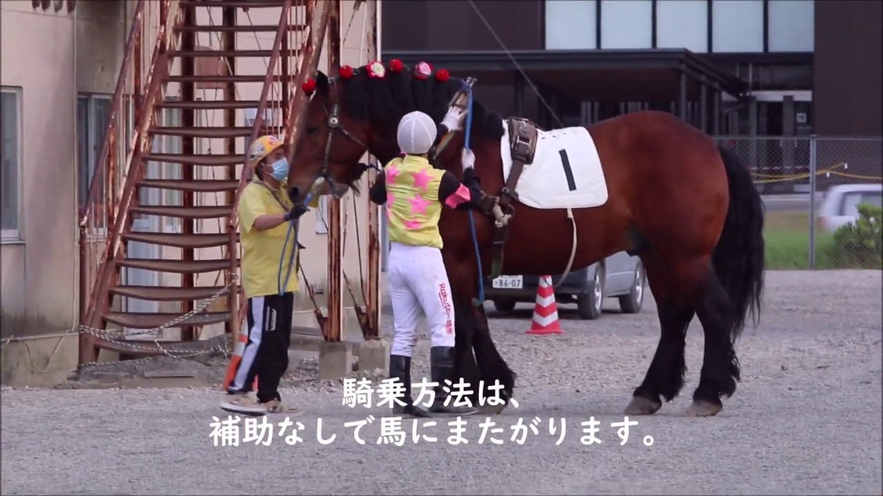 鞍なしで背中に騎乗 Youtube 鞍なしで背中に騎乗 Youtube