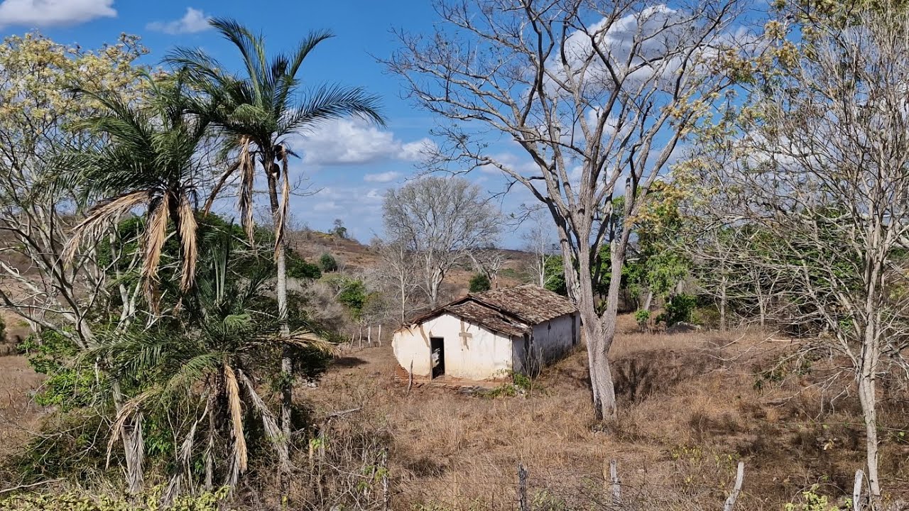 SERTÃO FICANDO SEM GENTE/ MORADORES VÃO PRA CIDADE GRANDE ATRAS DE MELHORAR DE VIDA 