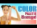 Color Palette ගැන දැනගමු | What is a Color Palette