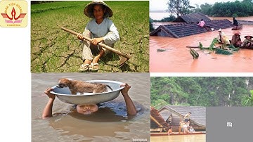 Môn GDCD - Lớp 7 - Bài 14 - Bảo vệ môi trường và tài nguyên thiên nhiên (tiết 2)