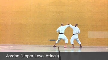 Shinri Karate Schools grading syllabus 9th kyu