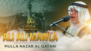 Ali Ali Mawla Mulla Nazar Al Qatari