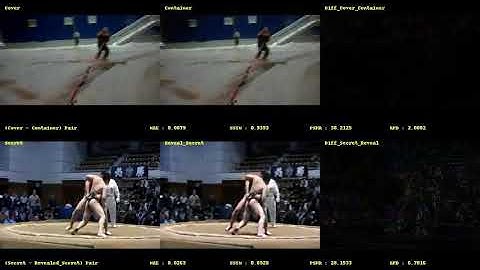 VStegNET: Video Steganography Network