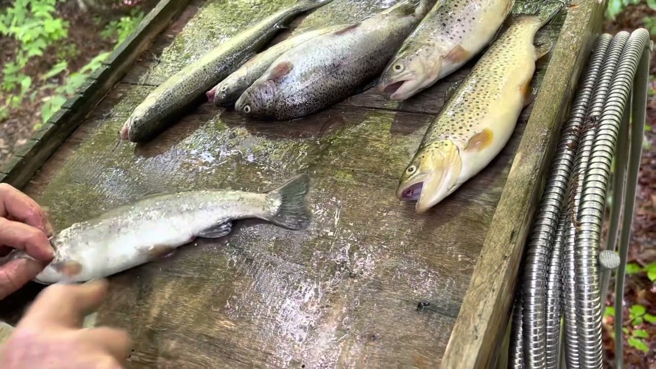 Fishing Lake Lure NC. Chimney Rock. YouTube