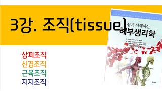 3강. 조직(tissue)_해부생리학 2022