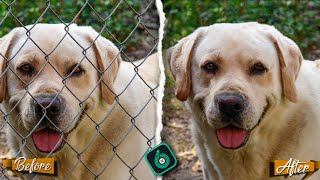 How To Remove Object From Your Photos | Touch Retouch Application screenshot 5