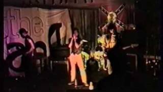 the pointy birds (final cut)gig track 1